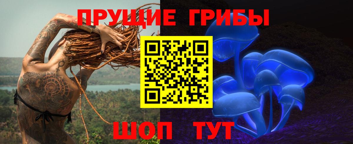 Видное  Галлюциногенные грибы Cubensis  Вход с VPN  Галлюциногенные грибы Cubensis 